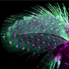 Green feather