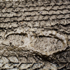 farm mud