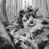 trees2